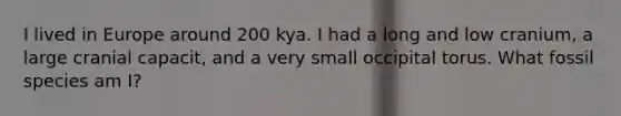 I lived in Europe around 200 kya. I had a long and low cranium, a large cranial capacit, and a very small occipital torus. What fossil species am I?