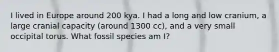 I lived in Europe around 200 kya. I had a long and low cranium, a large cranial capacity (around 1300 cc), and a very small occipital torus. What fossil species am I?