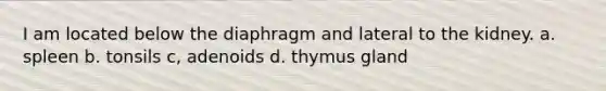 I am located below the diaphragm and lateral to the kidney. a. spleen b. tonsils c, adenoids d. thymus gland