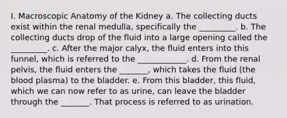 I. Macroscopic Anatomy of the Kidney a. The collecting ducts exist within the renal medulla, specifically the _________. b. The collecting ducts drop of the fluid into a large opening called the _________. c. After the major calyx, the fluid enters into this funnel, which is referred to the ____________. d. From the renal pelvis, the fluid enters the _______, which takes the fluid (the blood plasma) to the bladder. e. From this bladder, this fluid, which we can now refer to as urine, can leave the bladder through the _______. That process is referred to as urination.