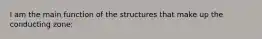 I am the main function of the structures that make up the conducting zone: