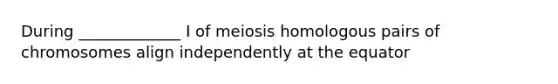 During _____________ I of meiosis homologous pairs of chromosomes align independently at the equator