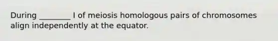 During ________ I of meiosis homologous pairs of chromosomes align independently at the equator.