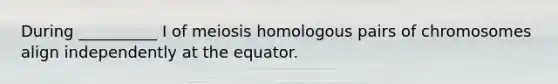 During __________ I of meiosis homologous pairs of chromosomes align independently at the equator.