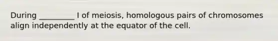 During _________ I of meiosis, homologous pairs of chromosomes align independently at the equator of the cell.