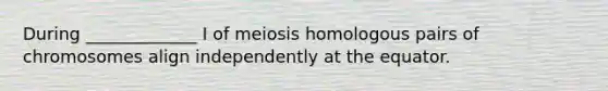 During _____________ I of meiosis homologous pairs of chromosomes align independently at the equator.