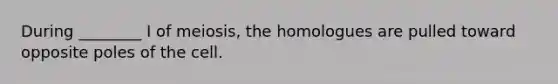 During ________ I of meiosis, the homologues are pulled toward opposite poles of the cell.