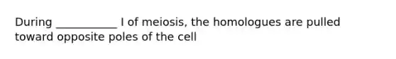 During ___________ I of meiosis, the homologues are pulled toward opposite poles of the cell