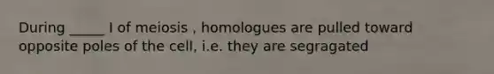 During _____ I of meiosis , homologues are pulled toward opposite poles of the cell, i.e. they are segragated