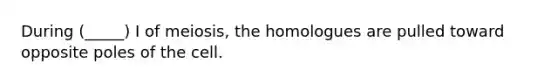 During (_____) I of meiosis, the homologues are pulled toward opposite poles of the cell.