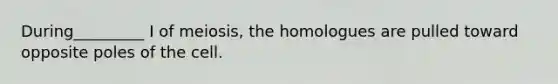 During_________ I of meiosis, the homologues are pulled toward opposite poles of the cell.