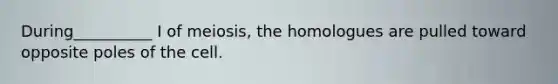 During__________ I of meiosis, the homologues are pulled toward opposite poles of the cell.