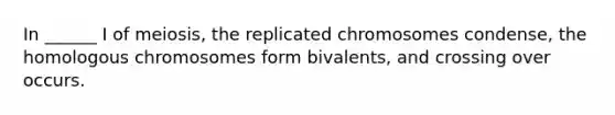 In ______ I of meiosis, the replicated chromosomes condense, the homologous chromosomes form bivalents, and crossing over occurs.