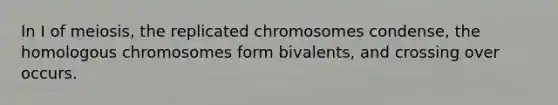 In I of meiosis, the replicated chromosomes condense, the homologous chromosomes form bivalents, and crossing over occurs.