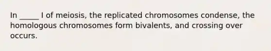 In _____ I of meiosis, the replicated chromosomes condense, the homologous chromosomes form bivalents, and crossing over occurs.