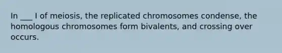 In ___ I of meiosis, the replicated chromosomes condense, the homologous chromosomes form bivalents, and crossing over occurs.