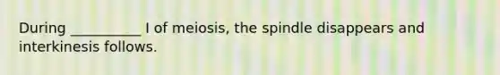 During __________ I of meiosis, the spindle disappears and interkinesis follows.