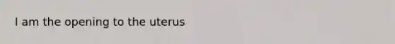 I am the opening to the uterus