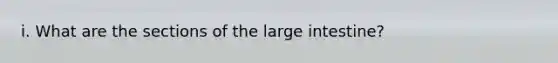 i. What are the sections of the large intestine?