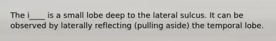The i____ is a small lobe deep to the lateral sulcus. It can be observed by laterally reflecting (pulling aside) the temporal lobe.