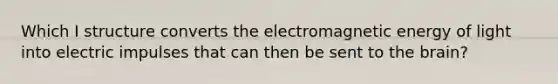 Which I structure converts the electromagnetic energy of light into electric impulses that can then be sent to the brain?