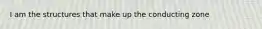 I am the structures that make up the conducting zone