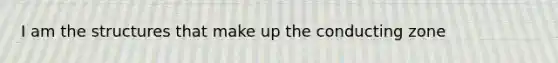 I am the structures that make up the conducting zone