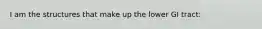 I am the structures that make up the lower GI tract:
