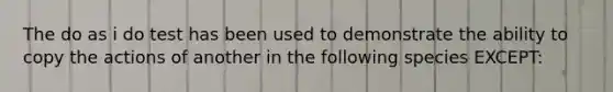 The do as i do test has been used to demonstrate the ability to copy the actions of another in the following species EXCEPT: