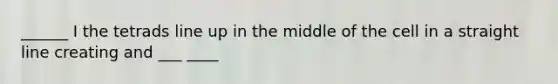 ______ I the tetrads line up in the middle of the cell in a straight line creating and ___ ____