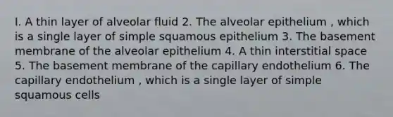 I. A thin layer of alveolar fluid 2. The alveolar epithelium , which is a single layer of simple squamous epithelium 3. The basement membrane of the alveolar epithelium 4. A thin interstitial space 5. The basement membrane of the capillary endothelium 6. The capillary endothelium , which is a single layer of simple squamous cells