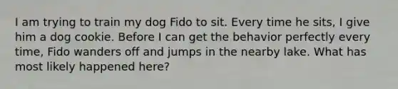 I am trying to train my dog Fido to sit. Every time he sits, I give him a dog cookie. Before I can get the behavior perfectly every time, Fido wanders off and jumps in the nearby lake. What has most likely happened here?