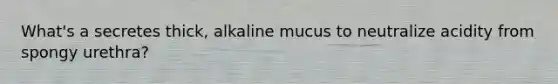 What's a secretes thick, alkaline mucus to neutralize acidity from spongy urethra?