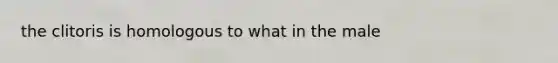 the clitoris is homologous to what in the male
