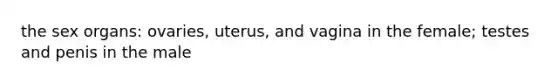 the sex organs: ovaries, uterus, and vagina in the female; testes and penis in the male