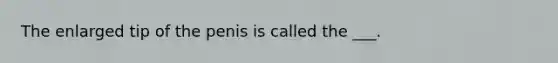 The enlarged tip of the penis is called the ___.