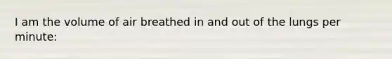 I am the volume of air breathed in and out of the lungs per minute: