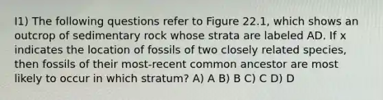 I1) The following questions refer to Figure 22.1, which shows an outcrop of sedimentary rock whose strata are labeled AD. If x indicates the location of fossils of two closely related species, then fossils of their most-recent common ancestor are most likely to occur in which stratum? A) A B) B C) C D) D