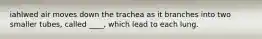 iahlwed air moves down the trachea as it branches into two smaller tubes, called ____, which lead to each lung.