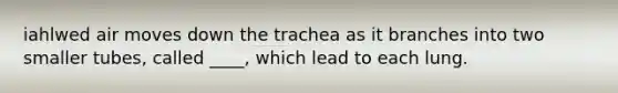 iahlwed air moves down the trachea as it branches into two smaller tubes, called ____, which lead to each lung.