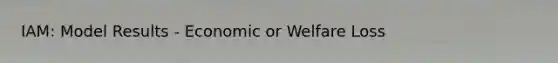 IAM: Model Results - Economic or Welfare Loss