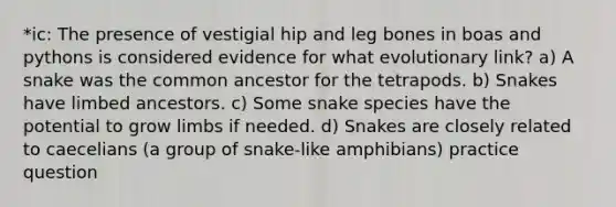 *ic: The presence of vestigial hip and leg bones in boas and pythons is considered evidence for what evolutionary link? a) A snake was the common ancestor for the tetrapods. b) Snakes have limbed ancestors. c) Some snake species have the potential to grow limbs if needed. d) Snakes are closely related to caecelians (a group of snake-like amphibians) practice question