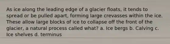 As ice along the leading edge of a glacier floats, it tends to spread or be pulled apart, forming large crevasses within the ice. These allow large blocks of ice to collapse off the front of the glacier, a natural process called what? a. Ice bergs b. Calving c. Ice shelves d. terminus