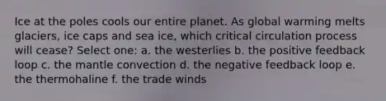 Ice at the poles cools our entire planet. As global warming melts glaciers, ice caps and sea ice, which critical circulation process will cease? Select one: a. the westerlies b. the positive feedback loop c. <a href='https://www.questionai.com/knowledge/kHR4HOnNY8-the-mantle' class='anchor-knowledge'>the mantle</a> convection d. the negative feedback loop e. the thermohaline f. the trade winds