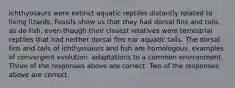 Ichthyosaurs were extinct aquatic reptiles distantly related to living lizards. Fossils show us that they had dorsal fins and tails, as do fish, even though their closest relatives were terrestrial reptiles that had neither dorsal fins nor aquatic tails. The dorsal fins and tails of ichthyosaurs and fish are homologous. examples of convergent evolution. adaptations to a common environment. Three of the responses above are correct. Two of the responses above are correct.
