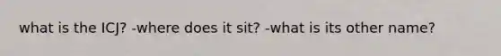 what is the ICJ? -where does it sit? -what is its other name?