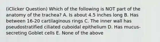 (iClicker Question) Which of the following is NOT part of the anatomy of the trachea? A. Is about 4.5 inches long B. Has between 16-20 cartilaginous rings C. The inner wall has pseudostratified ciliated cuboidal epithelium D. Has mucus-secreting Goblet cells E. None of the above