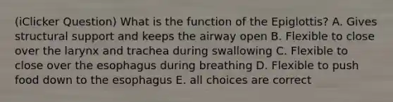 (iClicker Question) What is the function of the Epiglottis? A. Gives structural support and keeps the airway open B. Flexible to close over the larynx and trachea during swallowing C. Flexible to close over the esophagus during breathing D. Flexible to push food down to the esophagus E. all choices are correct