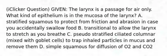 (iClicker Question) GIVEN: The larynx is a passage for air only. What kind of epithelium is in the mucosa of the larynx? A. stratified squamous to protect from friction and abrasion in case you accidentally swallow food B. transitional to allow the larynx to stretch as you breathe C. pseudo stratified ciliated columnar (mixed with goblet cells) to trap inhaled particles in mucus and remove them D. simple squamous for diffusion of O2 and CO2