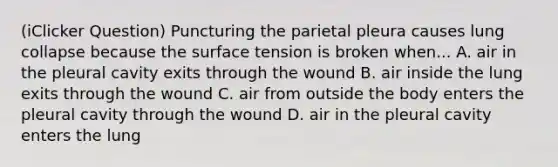 (iClicker Question) Puncturing the parietal pleura causes lung collapse because the surface tension is broken when... A. air in the pleural cavity exits through the wound B. air inside the lung exits through the wound C. air from outside the body enters the pleural cavity through the wound D. air in the pleural cavity enters the lung